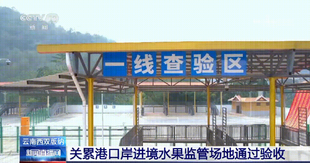 關(guān)累港口岸進(jìn)境水果監(jiān)管場地通過驗收.gif
